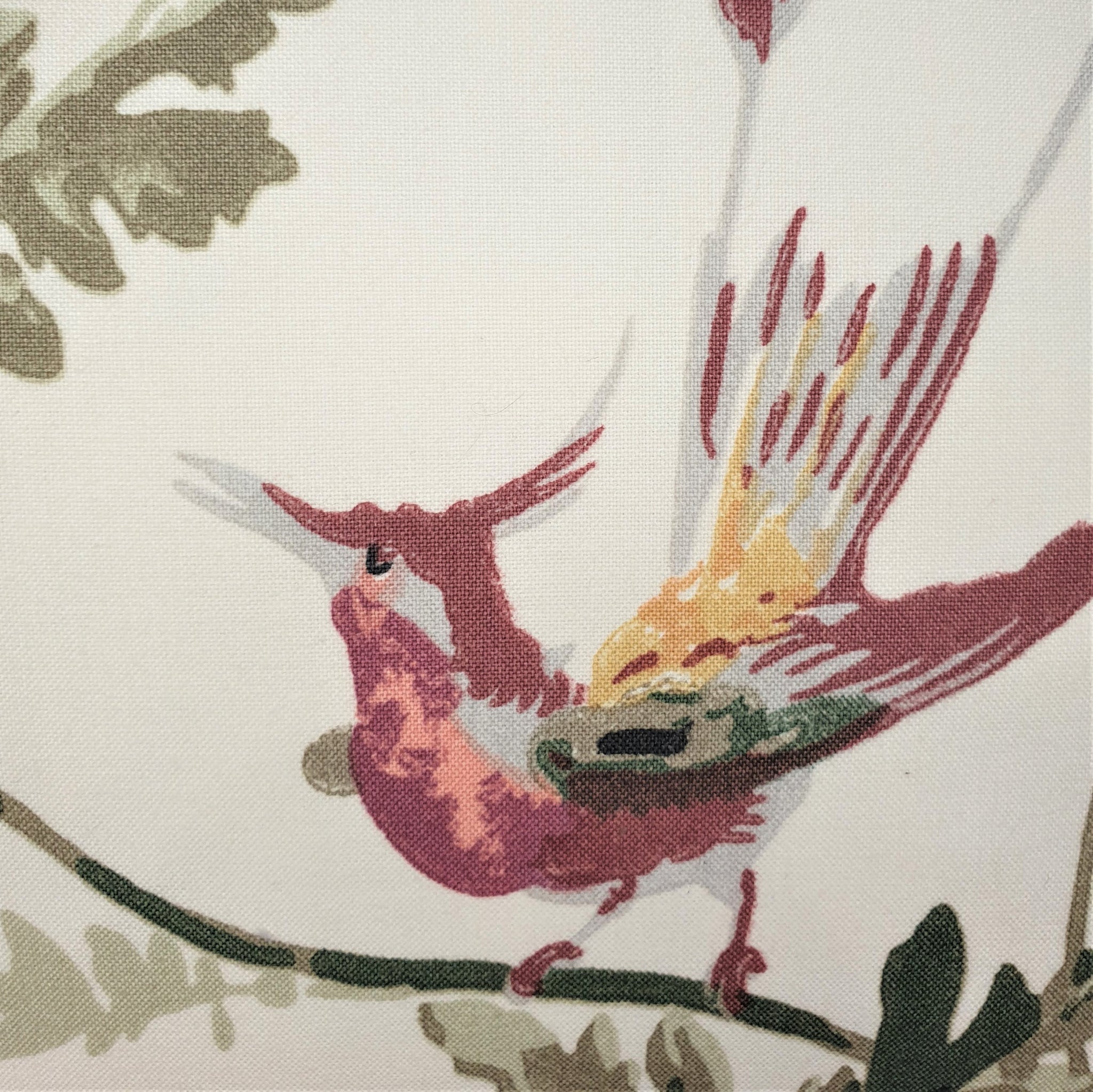 Rectangle Scatter Cushion In Humming Bird Design By Cole And Son